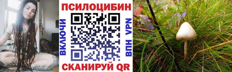 Галлюциногенные грибы прущие грибы  KRAKEN ссылки  Кремёнки 